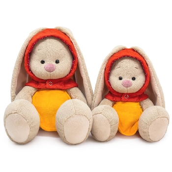 в съемном капюшоне