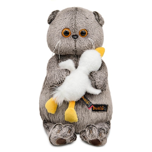 Кот Басик со спящим Гусиком