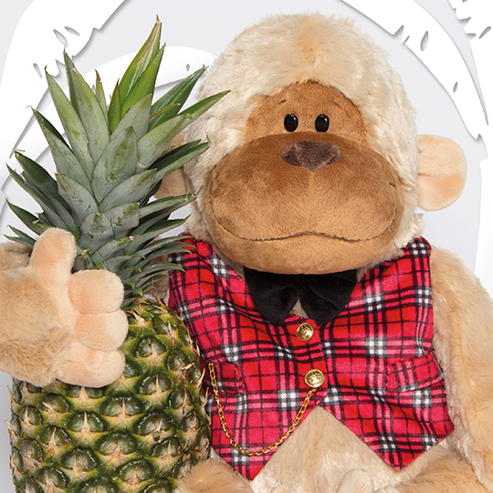 Обезьяна в жилетке Антон