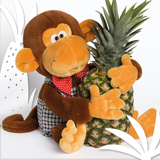 Обезьянка Степан в комбинезоне