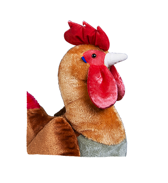 Петух Казимир