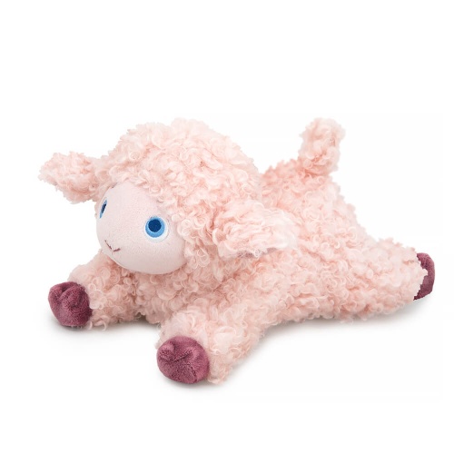 Овечка Аиша