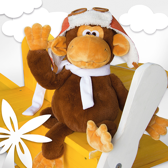 Гарри-лётчик