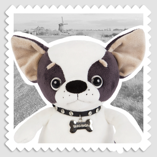 Моня в ошейнике