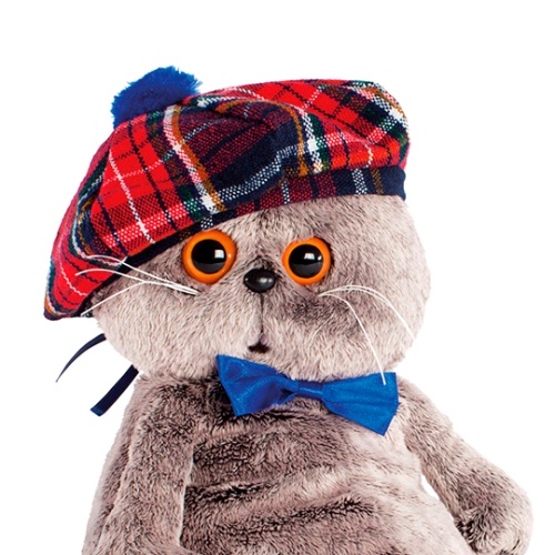 и клетчатый берет