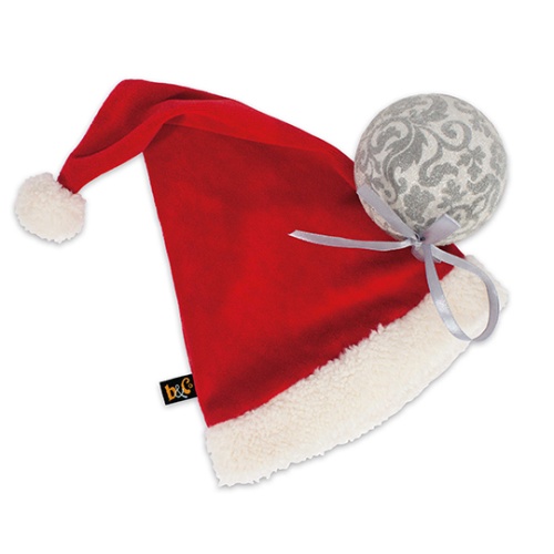 в новогоднем колпачке