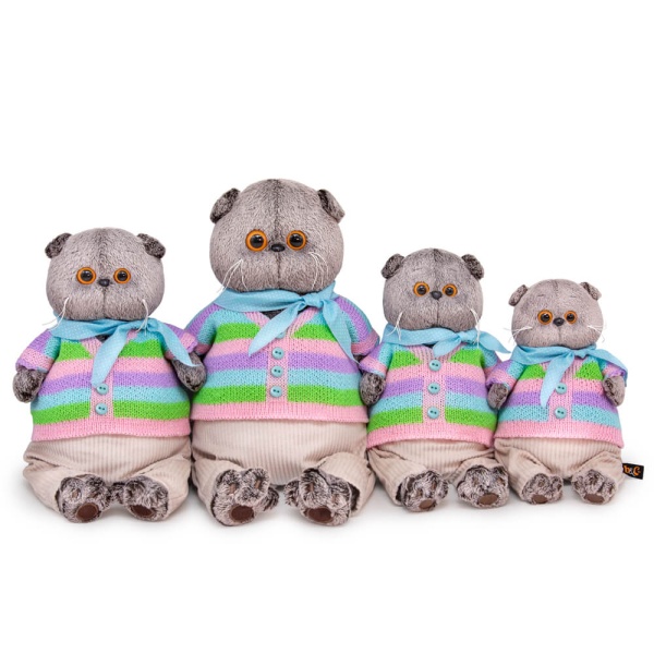 Басик в полосатой кофте и штанах