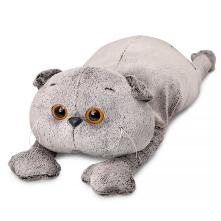 Кот Басик с пледом