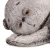 Кот Басик сонный с Гусиком (пижамница)
