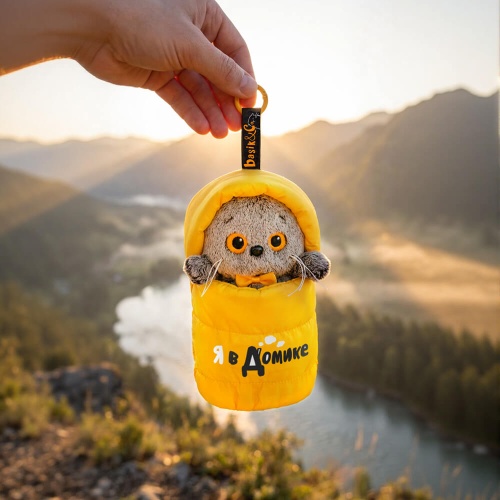 Кот Басик в спальном мешке