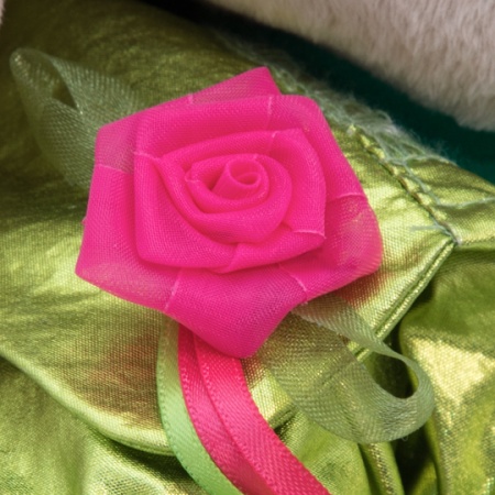 в блестящем плаще