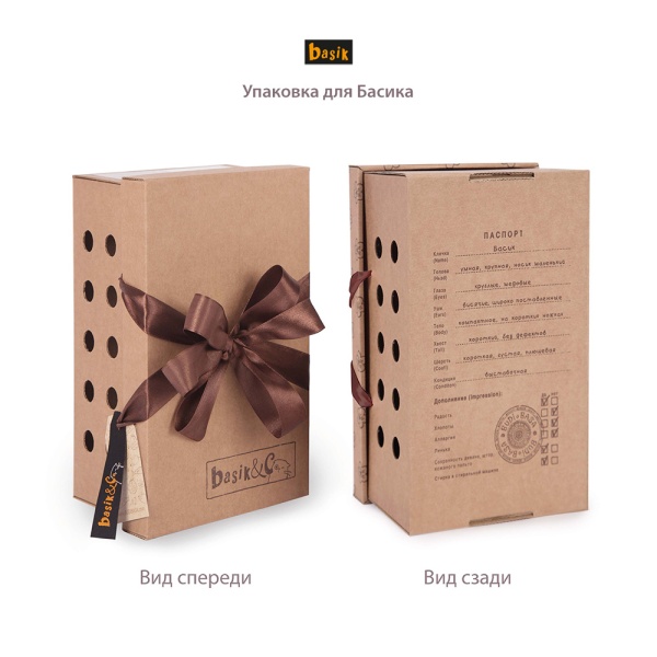 Басик в шарфике со снеговичком