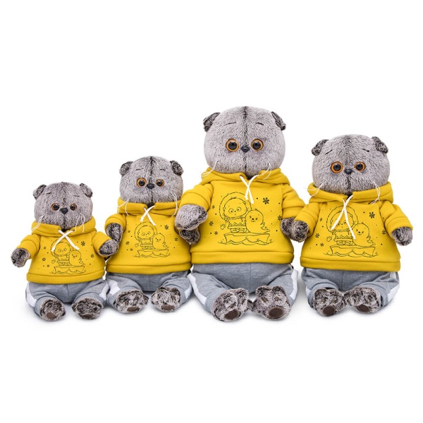 Басик в спортивном костюме