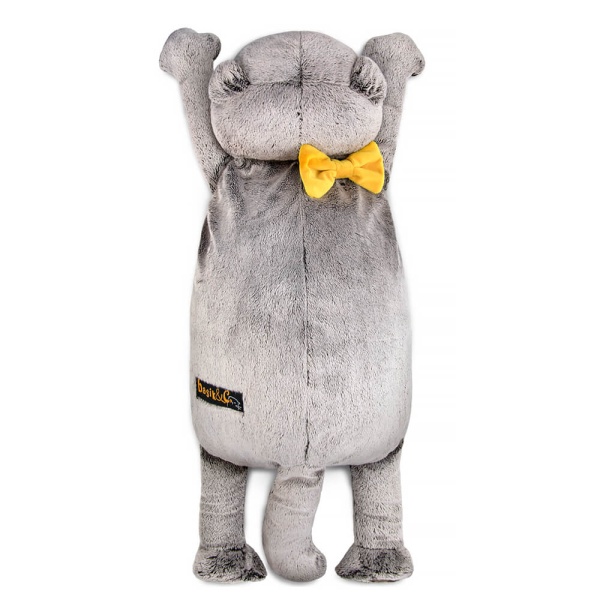 Кот Басик с пледом