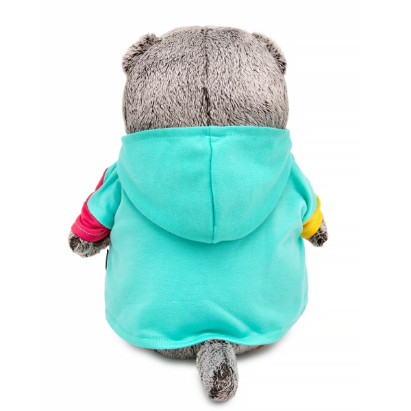 Басик в разноцветной толстовке