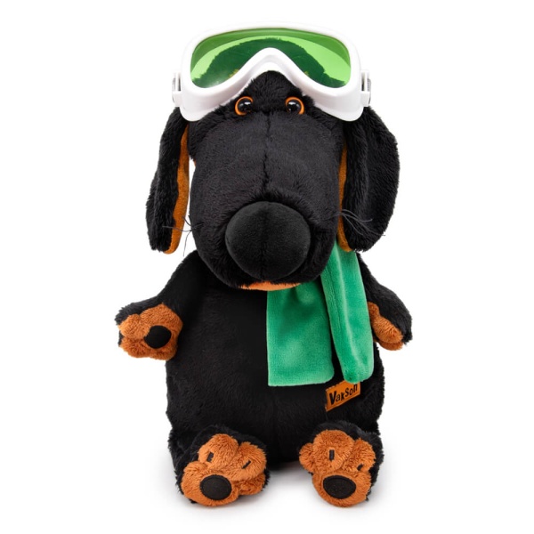 Ваксон в горнолыжных очках