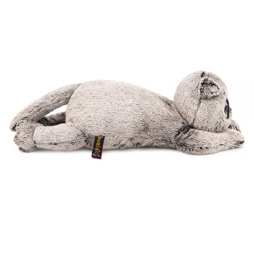 Кот Басик в очках