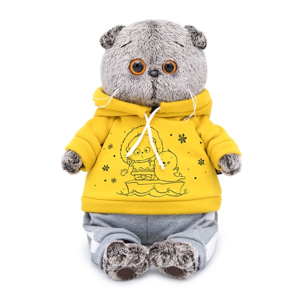 Басик в спортивном костюме