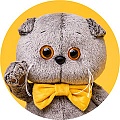 Кот Басик