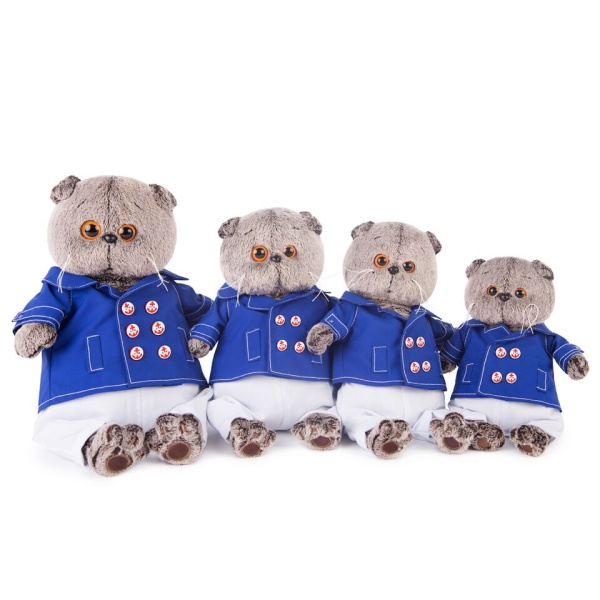 Басик в синем кителе