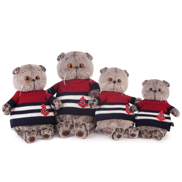 Басик в морском свитере