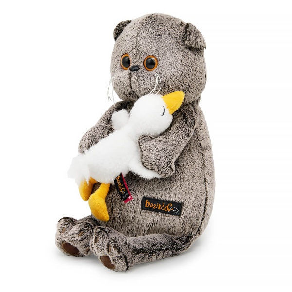 Кот Басик со спящим Гусиком