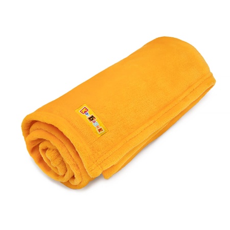 Кот Басик с пледом