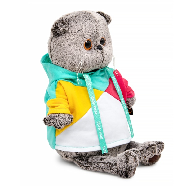 Басик в разноцветной толстовке