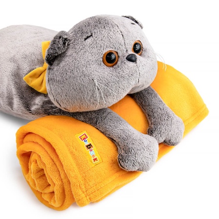 Кот Басик с пледом