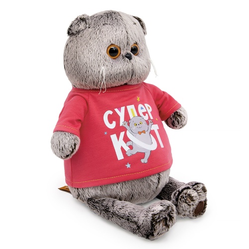 Басик в лонгсливе с принтом "Супер кот"