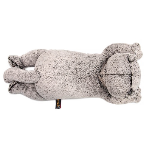 Кот Басик в очках