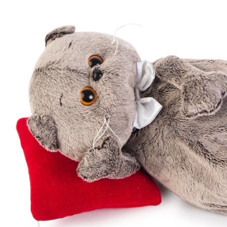 в бабочке на красной подушке