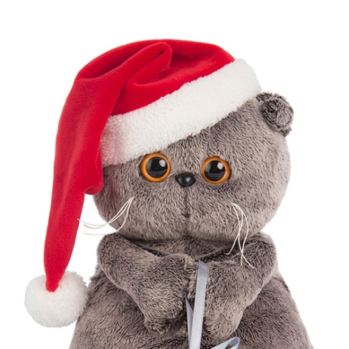 в новогоднем колпачке