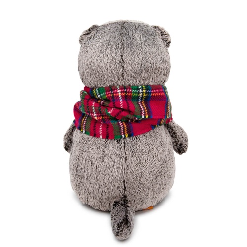 и красный шарф в клеточку