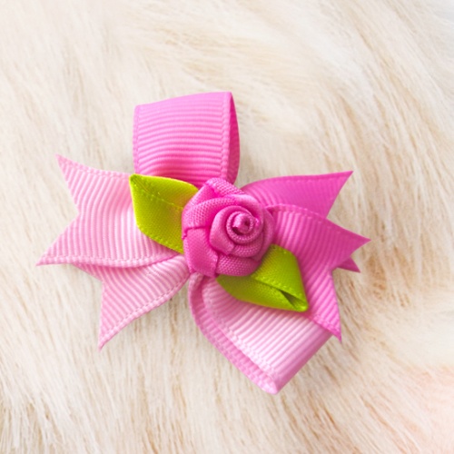 Леди Брунгильда