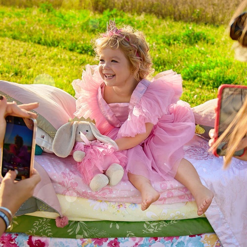 Принцесса розовой мечты