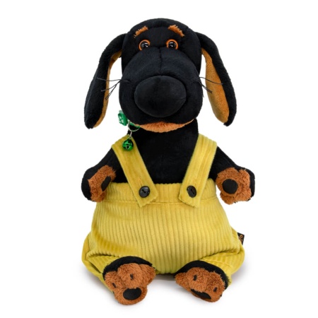 в штанах на лямках