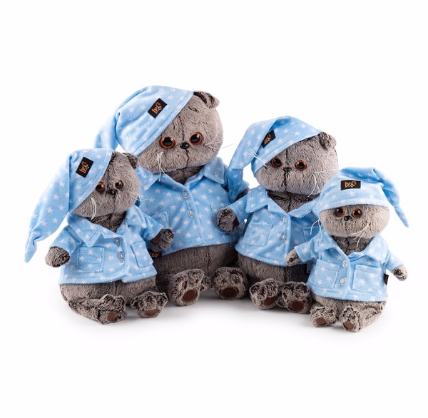 Басик в голубой пижаме