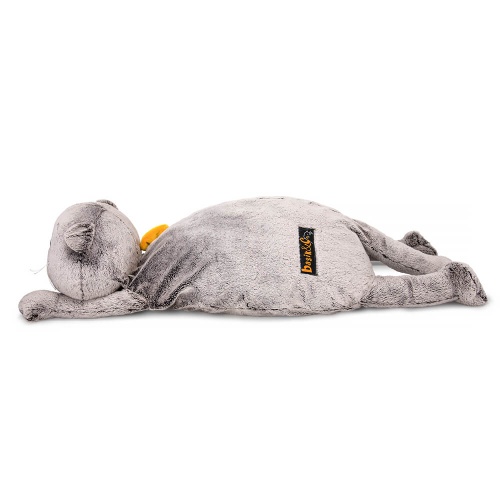 Кот Басик с пледом