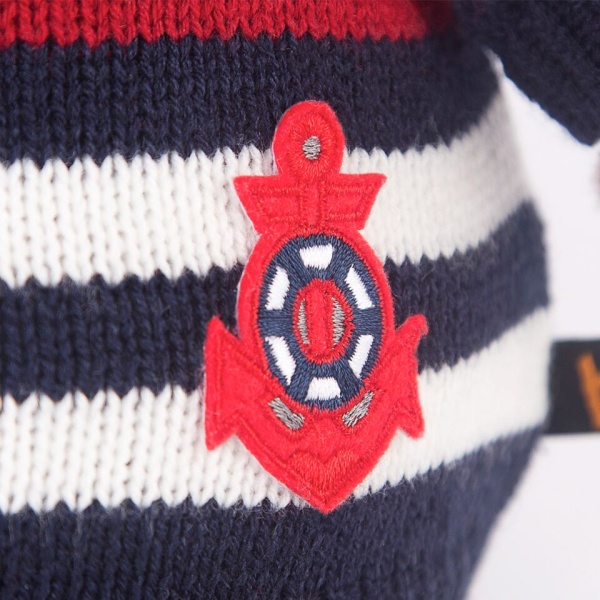 Басик в морском свитере