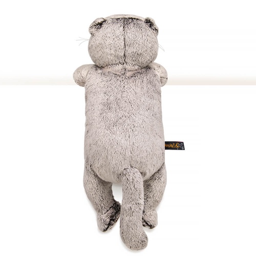 Кот Басик в очках