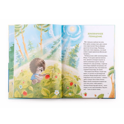 Книга «Приключения лЕсят в большом городе»