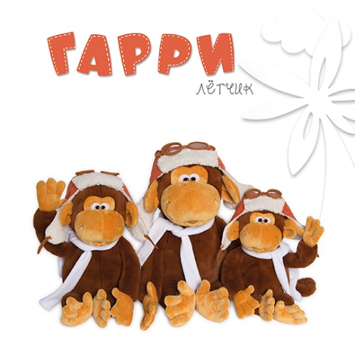 Гарри-лётчик