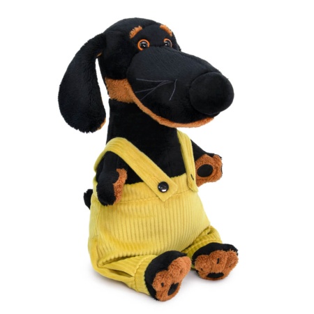 в штанах на лямках