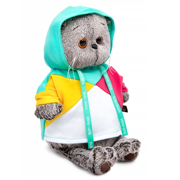 Басик в разноцветной толстовке