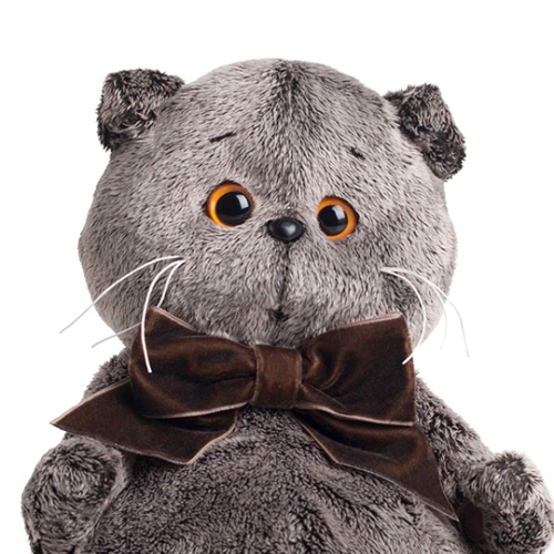 и бантик-бабочка