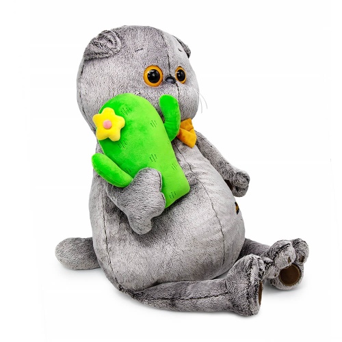 Кот Басик с подушкой кактусом