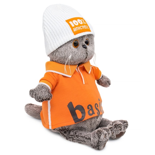 Басик в поло и шапке "100% антистресс" 